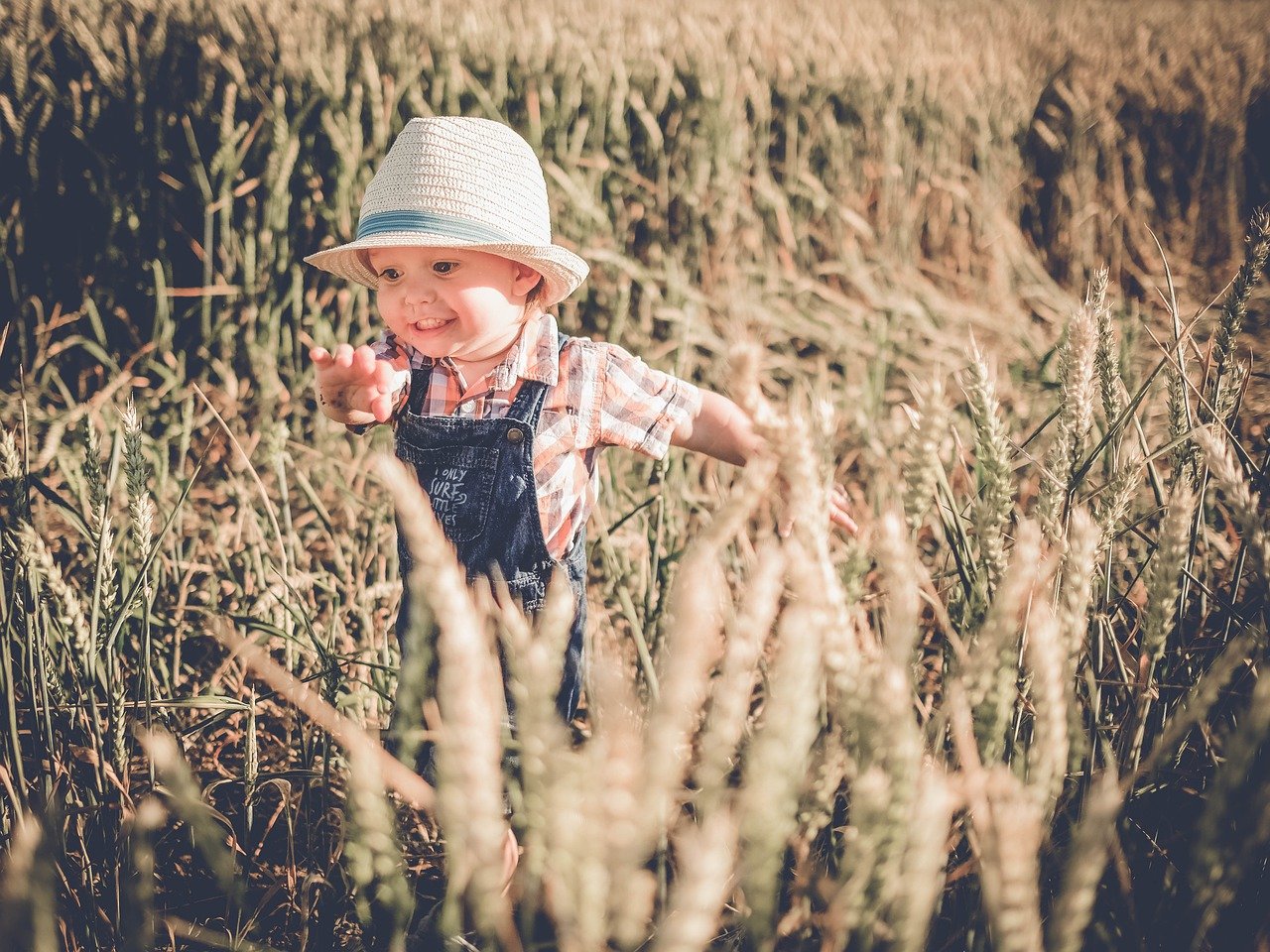 Toddler Boy Field Happy Smile  - IamFOSNA / Pixabay
